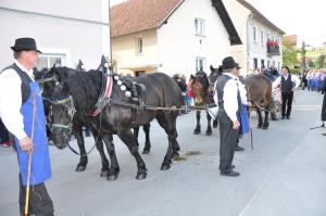 šentjurjevo (3)